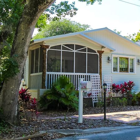 Luxurious Bohemian Bungalow In Lincolnville - Mins From Downtown! St. Augustine Exteriör bild
